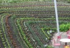 Jancourtpermaculture-5.jpg; ?>