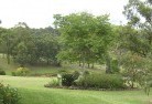Jancourtresidential-landscaping-40.jpg; ?>
